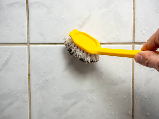 Best Emergency Mold Removal  in Thruston, KY
