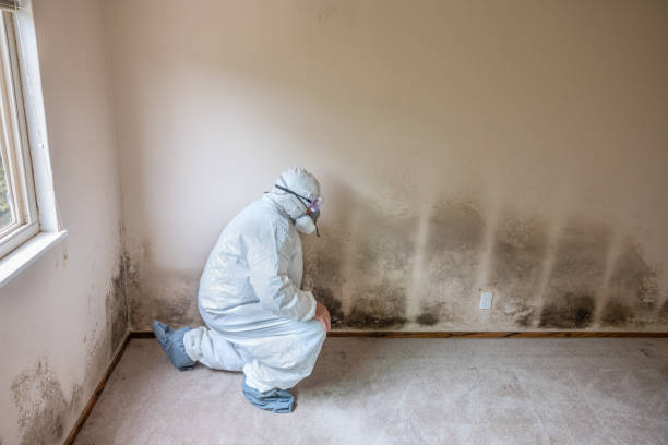 Best Mold Testing  in Thruston, KY