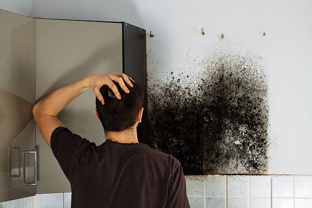 Water Damage Restoration in Thruston, KY